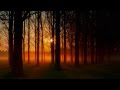 Auld Lang Syne Bagpipes HD 