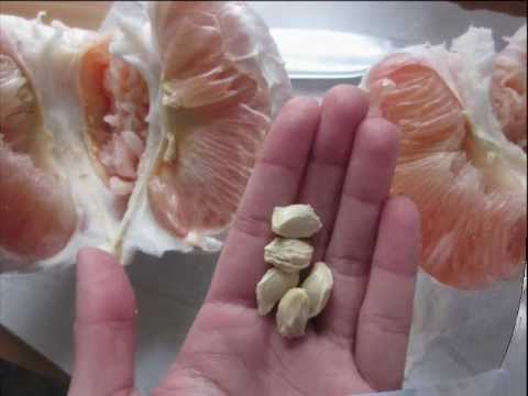 Pagbaba ng timbang ay hindi ang berries Iiyak mo kapag lumaki ka manipis