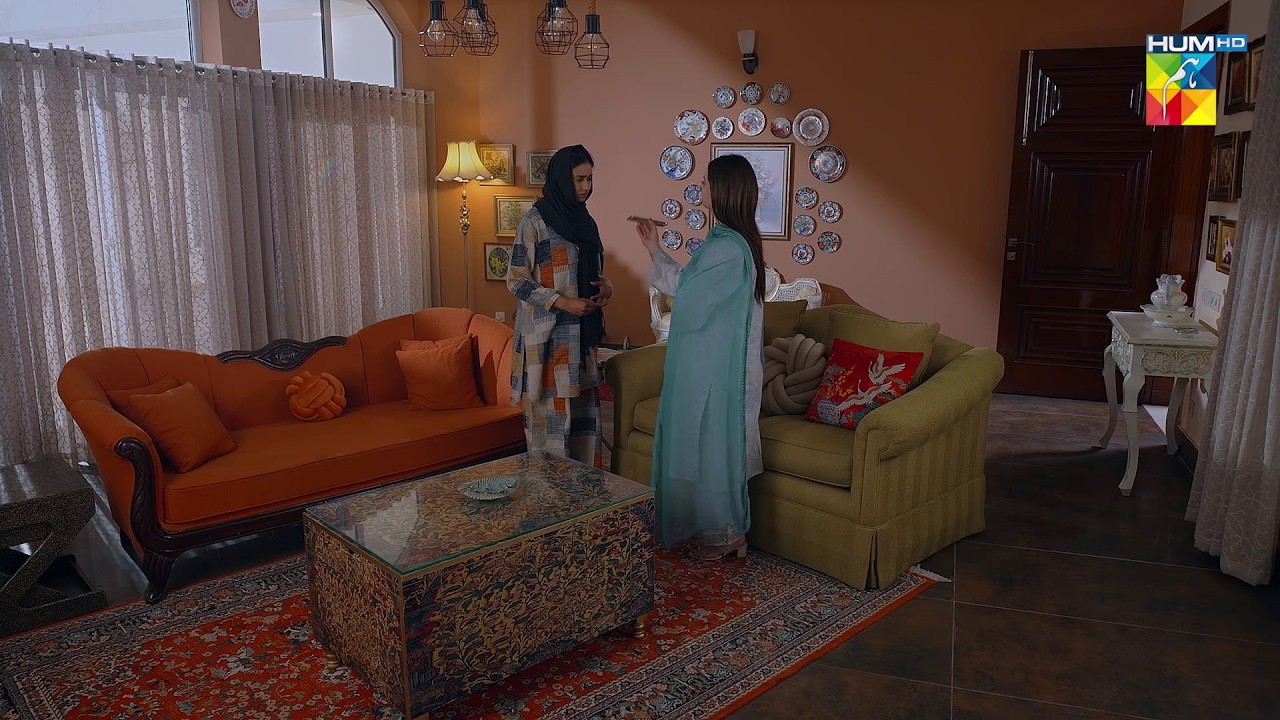 Tumhare Aur Zeniya Ke Khilaf Saray Suboot Hain Meray Pass..! #hadddrama #MinsaMalik - HUM TV