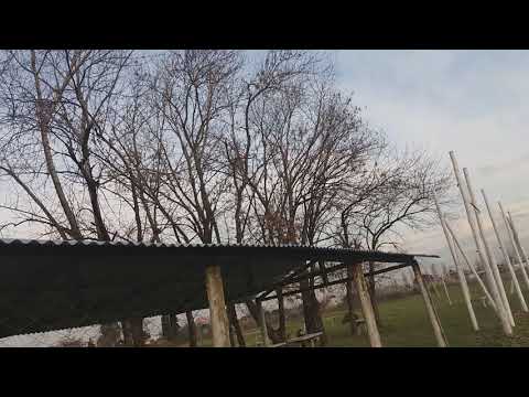 Kds innova 700 dfc Aris en el cacm