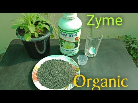 How to Use Zyme Organic fertilizer for all  Plants... ऑरगेनिक जाइम खाद का उपयोग पौधो में कैसे करे Video