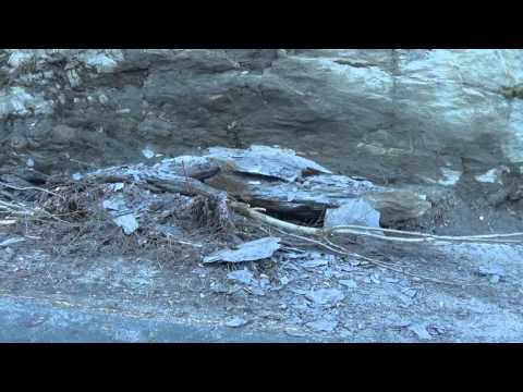 Steinras vest for Lysthaugen 10042016