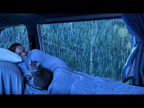 Barulho de Chuva e Trovoadas para Dormir Profundamente - Durma Sozinho sob  Chuva Forte |ASMR