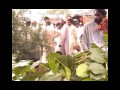 BABA SHAH MUZAMMIL QAWWALI 2013