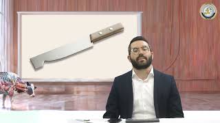 📏 מסכת חולין בהמחשה חיה! דף י"ז ע"ב: ג' מידות בסכין - פרק 10 🔪 | הרב שמעון אופן בהמחשה ויזואלית 📸