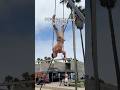 I Love Everyone S Reactions Gymnastics Gymnast Gym Fail Fails Sports Calisthenics