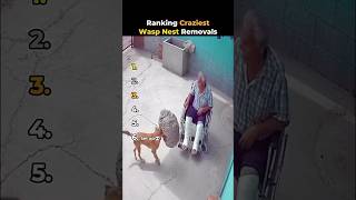 Ranking Craziest Wasp Nest Removals