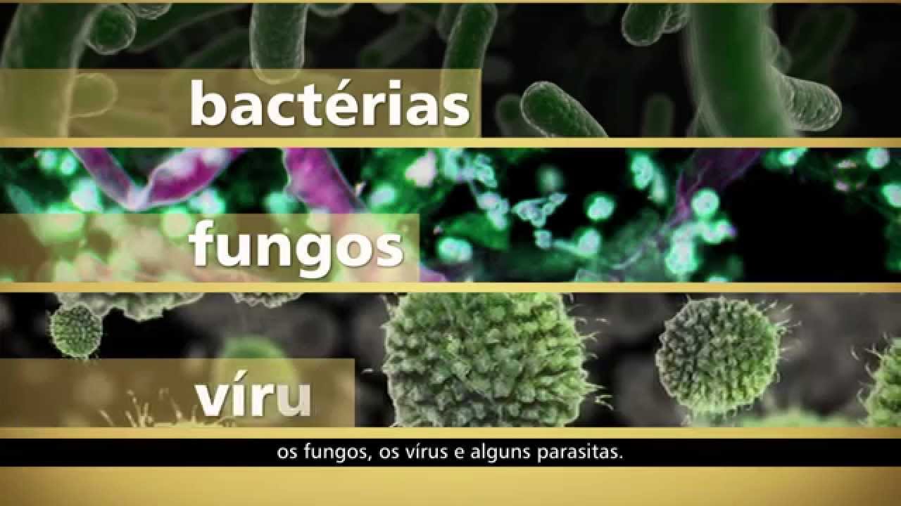 Alimentos | Módulo 1 Aula 3 | Microrganismos