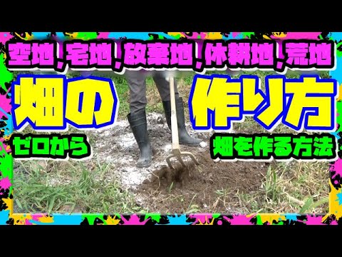 庭を耕したほうがいいでしょうか？耕さずに土地を耕すことはできますか?全てをお伝えします！  庭園