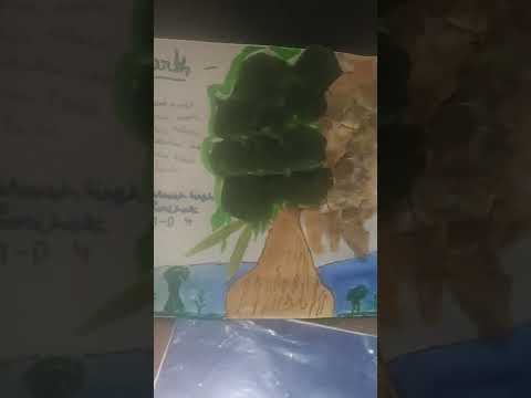 Ib physics tutors tuitions for writing help internal assessm...