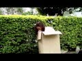 Study Arts At QUT A University For The Real World