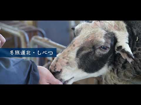 【士別市】冬旅　道北　世界のめん羊館