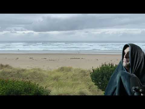 Zerg Cabal Meeting 2