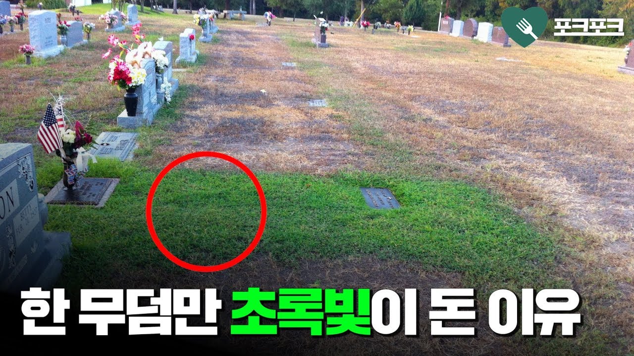 왜 아들 무덤만 푸른색인지 몰랐던 엄마. 이유를 깨닫고, 눈물바다가 되는데