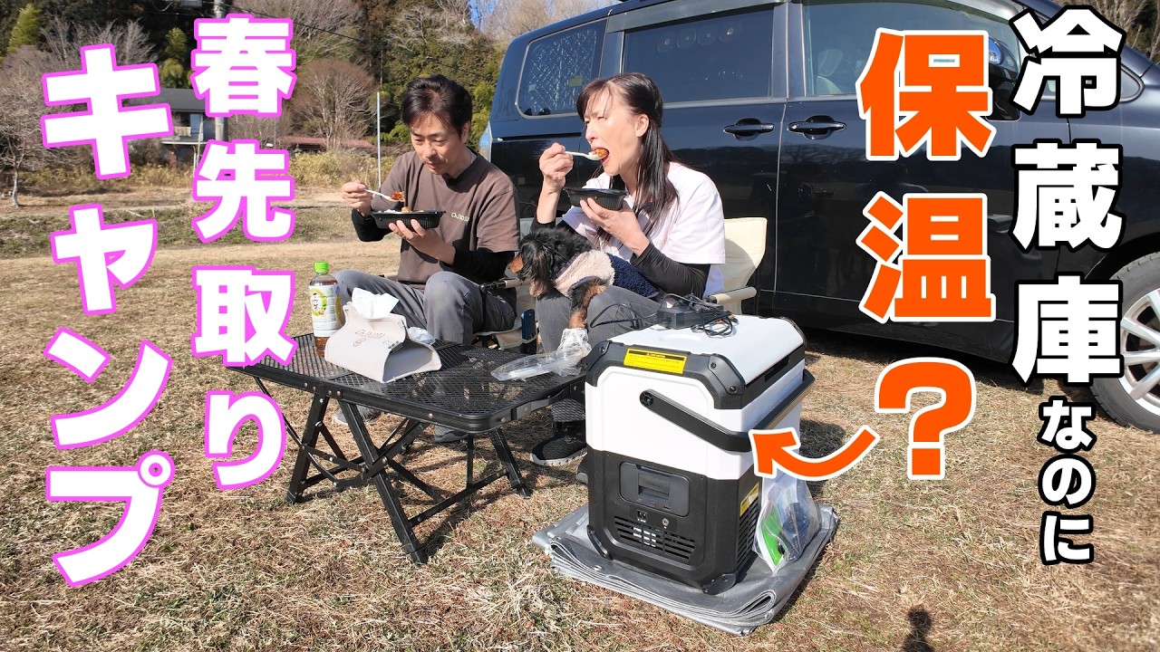 春先取りキャンプ。保温出来る冷蔵庫にお弁当を入れて春を満喫♪満喫しすぎて花粉でエライめにあいました【EENOUR車載冷温庫D18Pro】