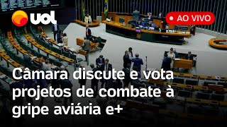 Câmara ao vivo: deputados votam projetos para combater a gripe aviária no Brasil; acompanhe