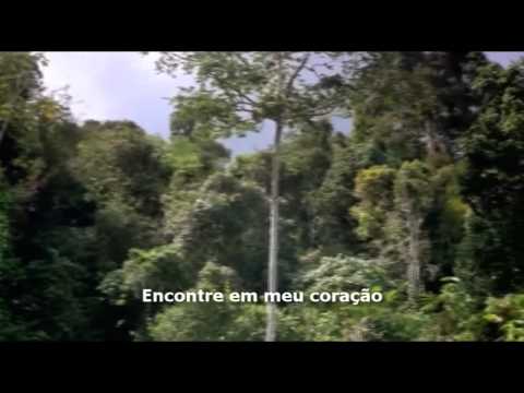 Coração De Adorador video