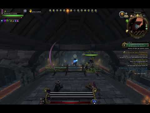 Neverwinter- Bard - Nothing else matters