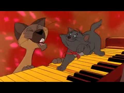 Video thumbnail for Katzen brauchen furchtbar viel Musik (Film-Version)