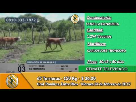 24-02-07 - Venta de Invernada - Remate Televisado de Coop. La Ganadera de Gral Ramirez