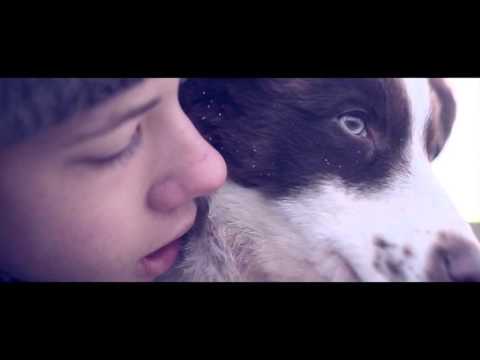 Eddy.T - Dear Tommy [OFFICIAL VIDEO]