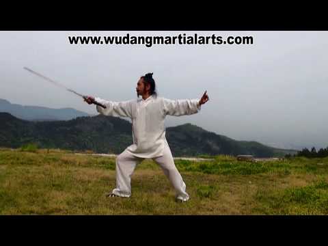 Wudang Tai Chi Sword performed by Master Chen Shiyu