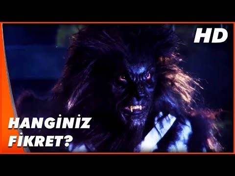 Kutsal Damacana 2: İtmen  | Kurt Adam, Fikret'in Peşinde