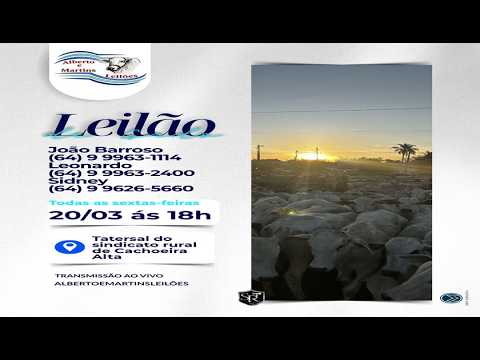 LEILÃO ALBERTO e MARTINS 20/03/2026 AS 18:00 hs em Cachoeira Alta Go.