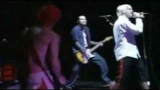 Red Hot Chili Peppers Budokan 2000 - Blackeyed Blonde