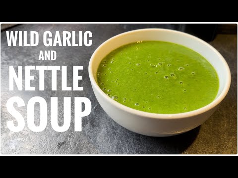 Wild Garlic and Nettle Soup