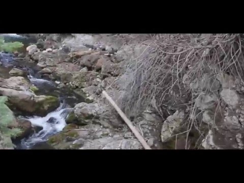 Bigfoot Sighting in Utah Payson Canyon Zoomed Stabilized enhanced