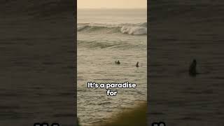 Download lagu Sumba Unveiled! Indonesia hidden gem. mp3