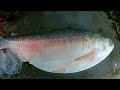 How To Cut A Big Hilsa Ilish Fish With Egg By Expert Fish Cutter Fish Cutting Skills