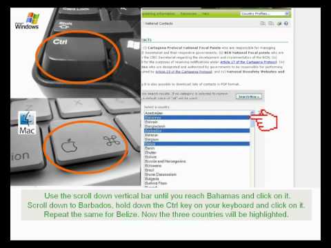 BCH Tutorial 3 English - Finding Information