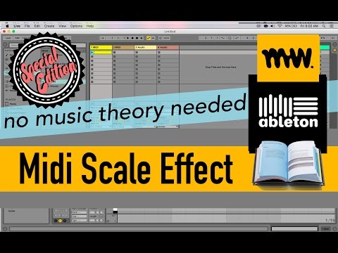 Midi Scale Effect - NO MUSIC THEORY NEEDED!