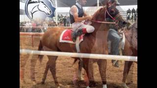 el cororna vs el invasor