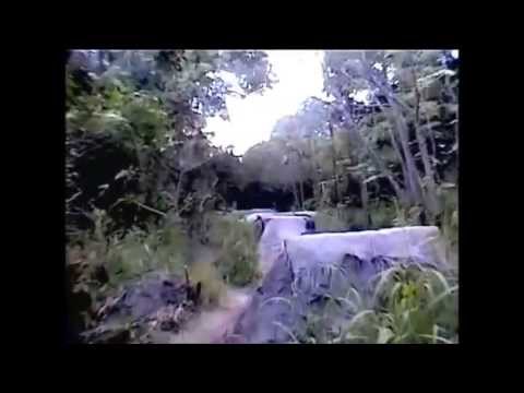 Mark Mulville-Transylvania