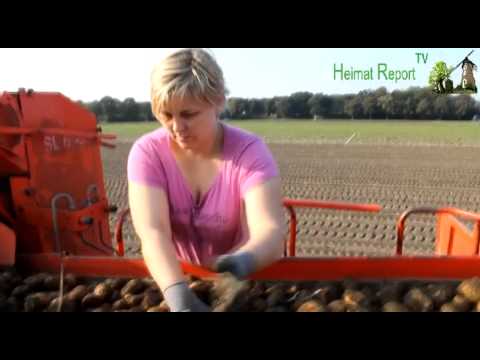 Heimatreport.TV -Kartoffelernte in Raesfeld - Erle 2014