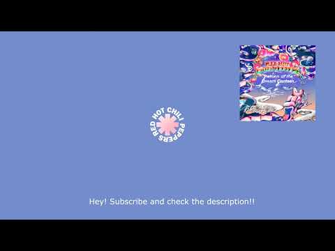 The Drummer - Red Hot Chili Peppers Bass Backing Track (Without Bass)(With Vocals)