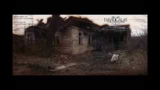 David Galas - Something Fell From The Sky