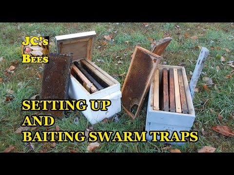Setting Up And Baiting Swarm Traps / How To Catch Honeybees