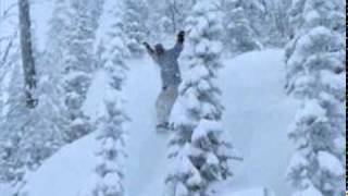 The Samples - Anymore