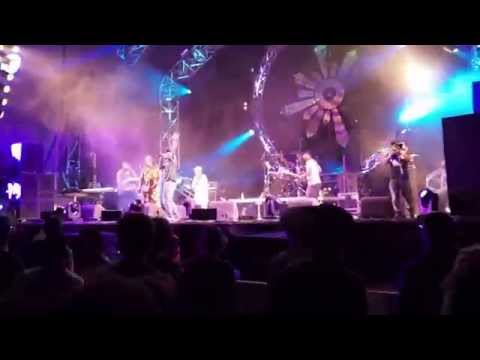 Horace Andy brings out Daddy Freddy and Lady Cham at Outlook 2014