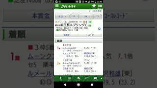 グラスの競馬レース予想！ヴィクトリアマイルを予想！今年もリピーターが来る！？京王杯ＳＣもレース回顧してみますううう！
