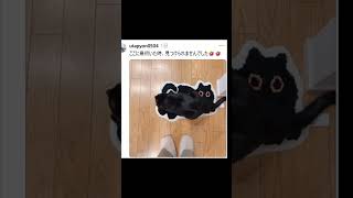 かくれんぼが上手すぎる猫ｗｗ