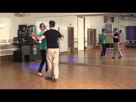 Disco Fox Körbchen zu Schal