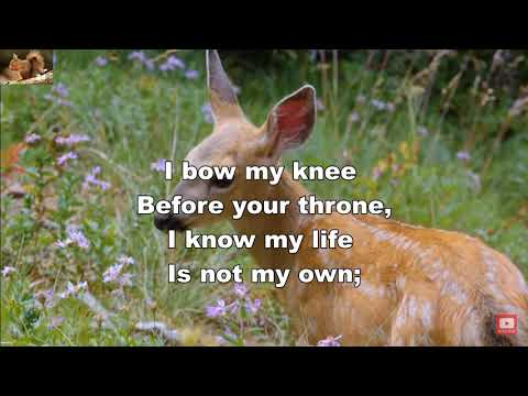 I bow my knee before your throne