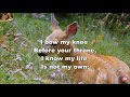 I bow my knee before your throne