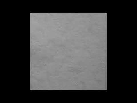 LEON (딥상어) - ?(Prod Color)(Official Audio)