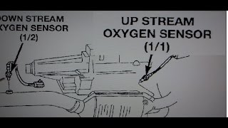 Como ubicar los sensores de oxigeno y como identificar los bancos